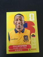 Panini FIFA World Cup Sticker ECU 5